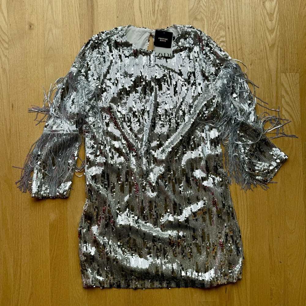 Zara Silver Sequin Long Sleeve Dress